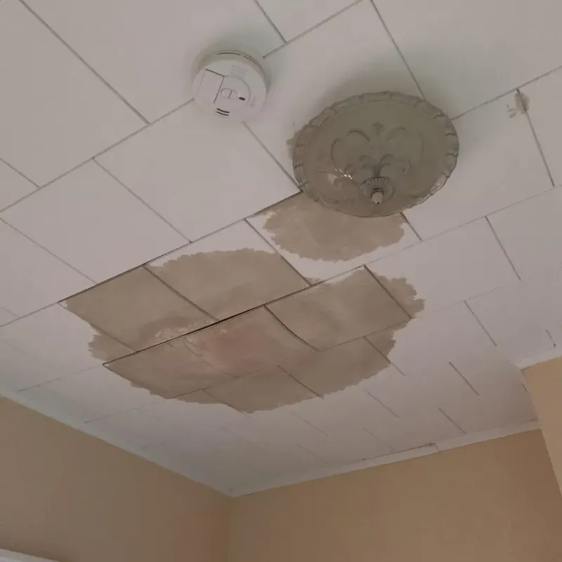 Ceiling Water Damage Repair in Oxford, CT