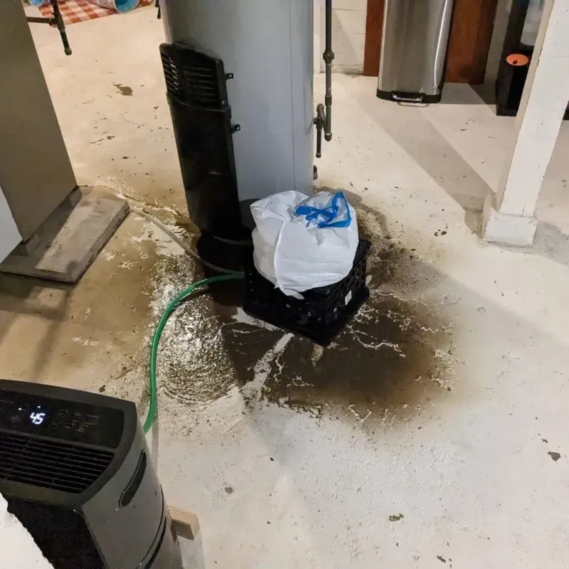 Sewage Backup Cleanup Service in Oxford, CT